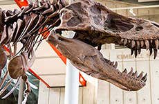 Guía de San Francisco