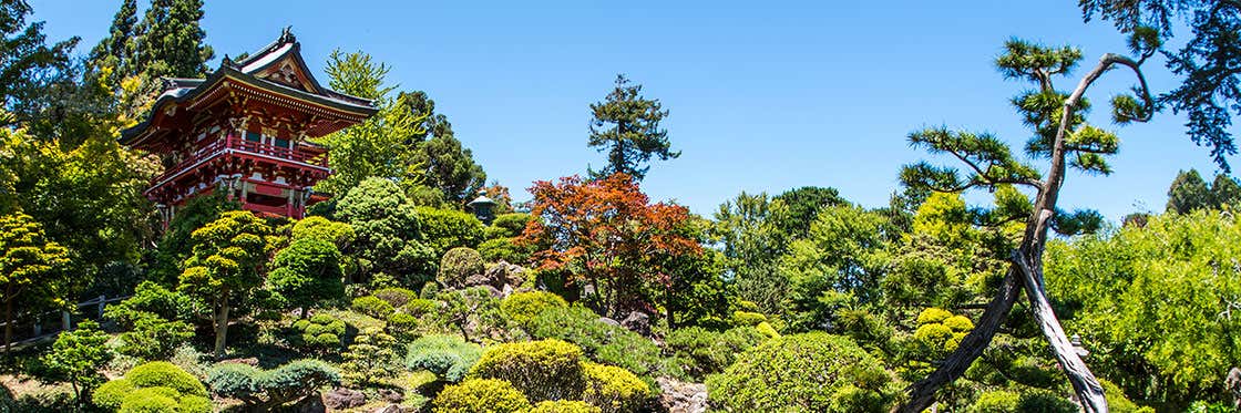 Golden Gate Park