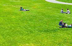 Guía de San Francisco